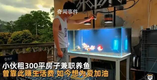 國企小伙兼職養(yǎng)魚:目標(biāo)月入2萬