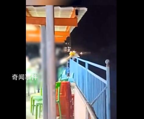 女子清理餐桌將廚余垃圾倒海里 拍攝者：動作很嫻熟估計是已經倒了很多次