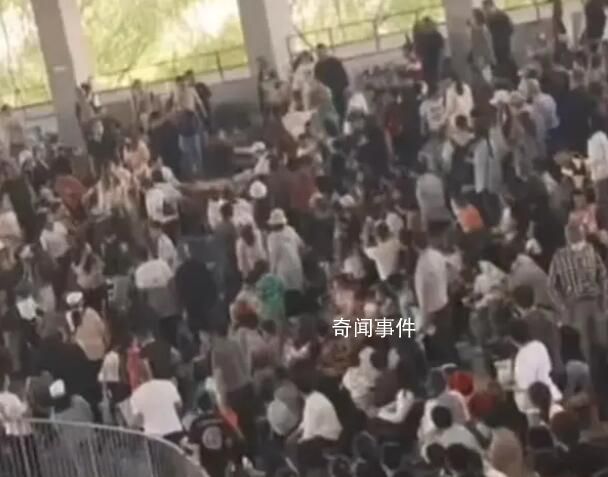 多名游客在動物園打架互毆 網友：一時間不知道看誰了
