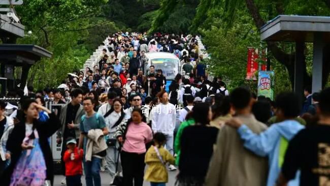 海陸空三線繁忙 游客都堵哪了