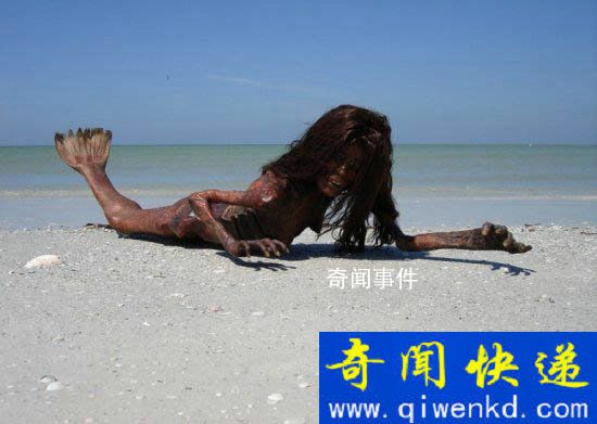 世界上真的有美人魚嗎 美人魚真的存在過嗎