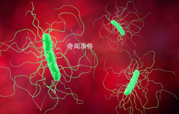 全球首款口服糞便微生物藥物上市 能否取代糞菌移植需要觀察