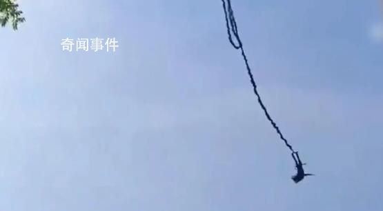 游客蹦極掛空中6小時(shí)?官方回應(yīng)