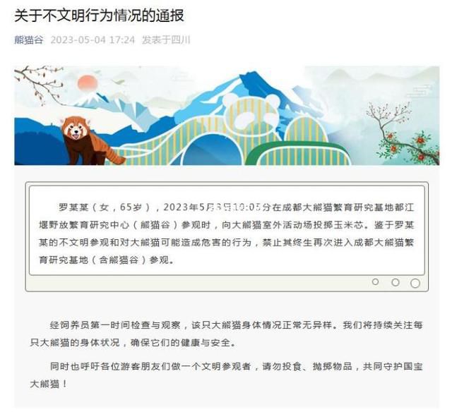 大媽給熊貓投喂玉米芯被禁止參觀 禁止其終生再次進入