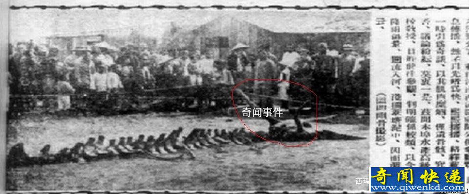 1934年山東營(yíng)口墜龍事件未解之謎 營(yíng)口墜龍事件是真的嗎