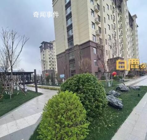當事人回應吃完燒烤定居淄博 并非一時沖動