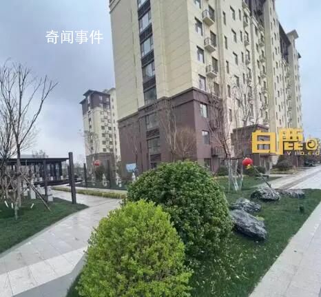 男子在淄博吃完燒烤直接買房定居 引起廣泛關注