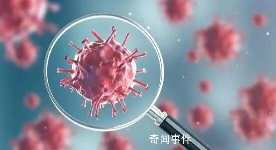 我國新冠主要流行株已變?yōu)閄BB系列 占比增至74.4%