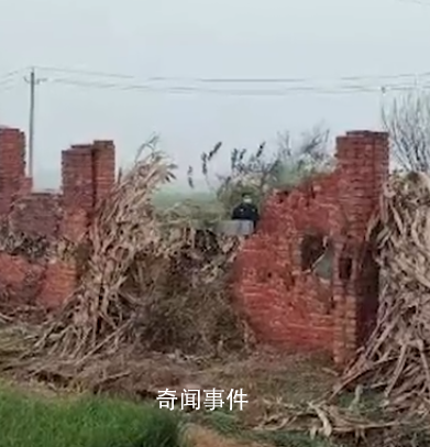 6歲娃意外死亡父親收3萬(wàn)簽諒解書(shū) 媽媽：自己沒(méi)簽字目前已離婚