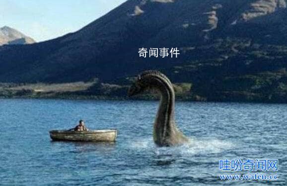 加拿大水怪奧古布古未解之謎 奧古布古水怪長什么樣子