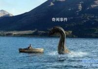 加拿大水怪奧古布古未解之謎 奧古布古水怪長什么樣子