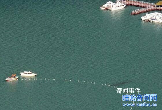 世界十大水怪之謎 水怪真的存在嗎?