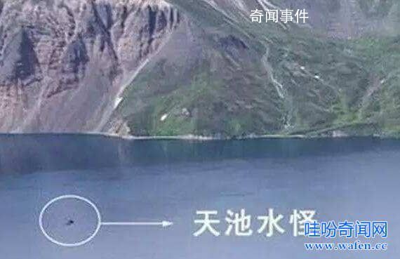 世界十大水怪之謎 水怪真的存在嗎?