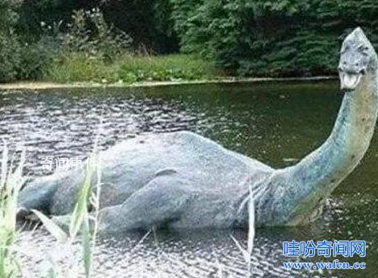 世界十大水怪之謎 水怪真的存在嗎?