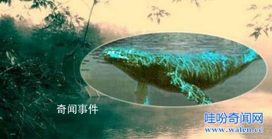 世界十大水怪之謎 水怪真的存在嗎?