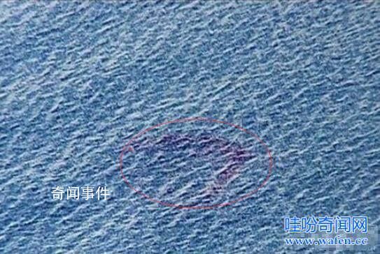 世界十大水怪之謎 水怪真的存在嗎?