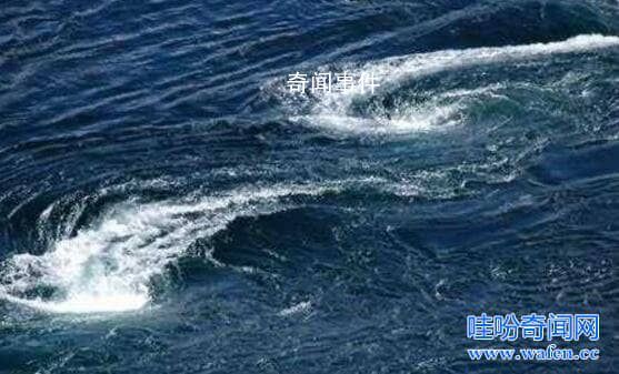 江西鄱陽湖水怪之謎 鄱陽湖水怪導致沉船事件