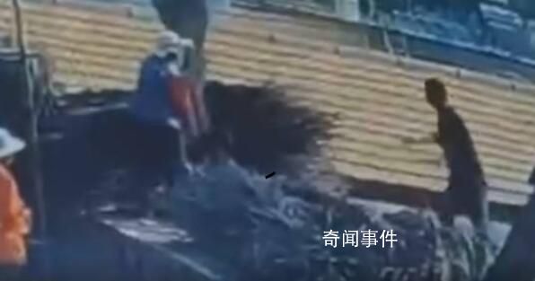 男子持刀上屋頂捅傷2人后逃逸 劉彥龍個(gè)人資料介紹