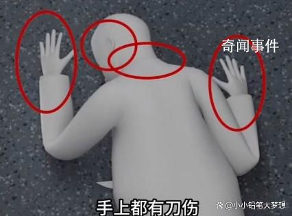 火車持刀殺人案細節:嫌犯返回補刀