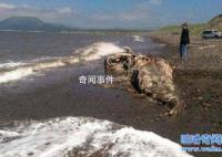 肯偉島水怪之謎在哪 肯偉島水怪真的存在嗎
