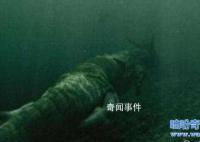 青海湖水怪之謎揭開 青海湖水怪真的存在嗎