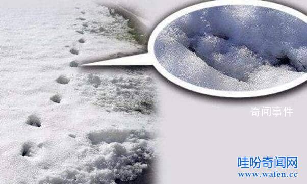 英國德文郡魔鬼腳印之謎真相是什么 魔鬼腳跟真的存在嗎