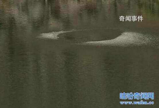 四川獵塔湖水怪真相是什么 獵塔湖水怪之謎終于得解