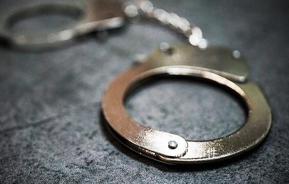 農(nóng)行首席專家楊光被雙開 楊光簡介個人資料
