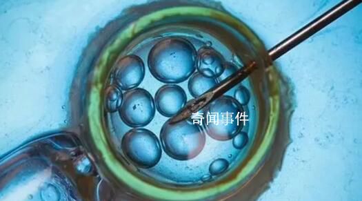 英國首批三親嬰兒誕生 新生兒體內(nèi)有來自3人的遺傳基因