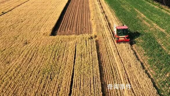 端牢中國(guó)飯碗 綜合施策保夏收