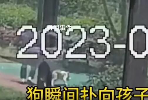 遛狗男子將6歲兒童打成腦震蕩被刑拘 實在是令人憤怒