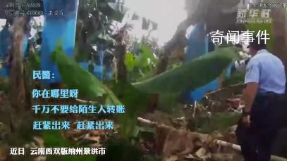 女子躲香蕉地接詐騙電話近5小時 民警苦勸仍堅持要給對方轉(zhuǎn)賬