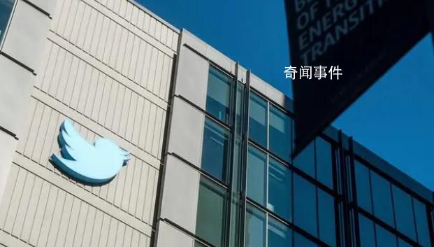 推特新任女掌門人是什么來頭?雅卡理諾個人資料介紹