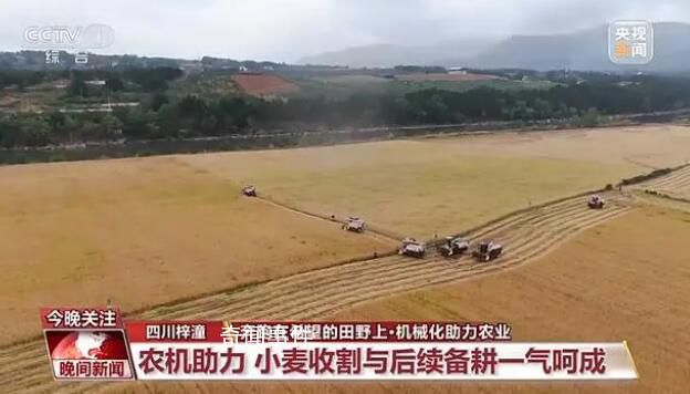 當傳統小麥遇上現代機械化收割 小麥收割與后續備耕一氣呵成