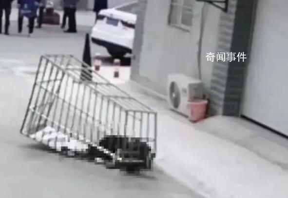 男子隨防盜網從六樓墜落身亡 作業時沒有系安全繩