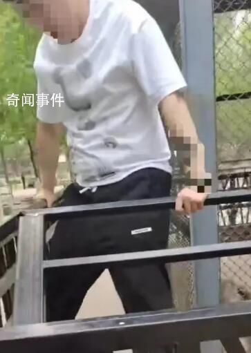 沈陽一游客翻越護欄向猴子吐口水 回應：將督促景區加強管理