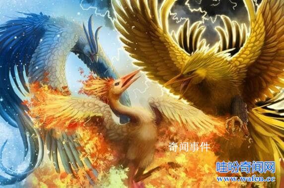 上古神獸鳳凰原型未解之謎 鳳凰原型是什么動物