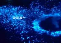 浙江多地海邊現“藍眼淚”奇觀 藍眼淚是怎么形成的條件
