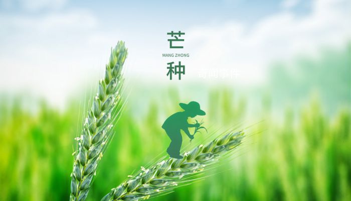 2023年芒種哪一天 芒種習俗有哪些講究