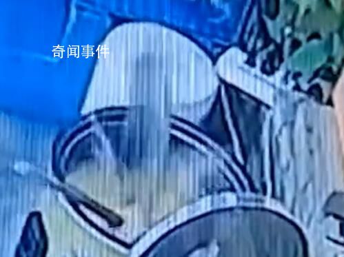 魚缸里的魚一躍跳進一鍋粥里 魚正巧跳進鍋里不幸喪生