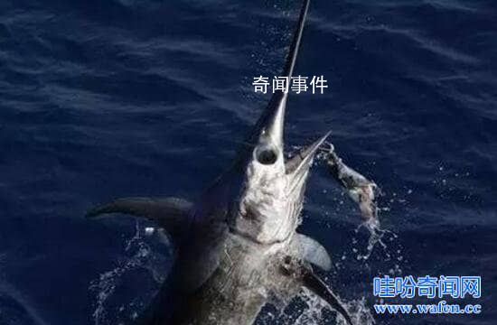 海底一萬米有多恐怖 海底一萬米下的生物有哪些