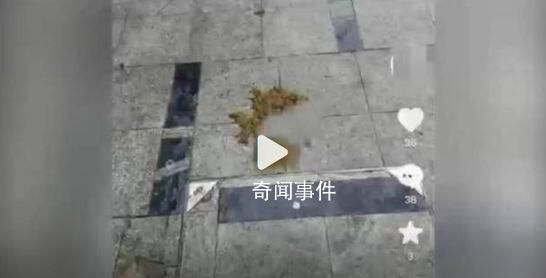 安徽滁州一小區內有人高空拋下糞便