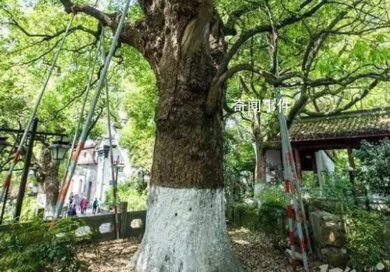 外婆給慈善組織捐了1000萬 只希望捐贈發(fā)揮價值深藏功與名