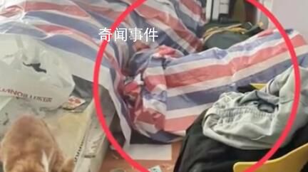 女生兼職上門喂貓遭戀踩癖騷擾 實在是太變態了