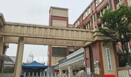小學生被撞死 肇事老師:曾讓其離開