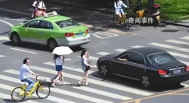 “禮讓行人”該不該被取消 弱勢車主有怨言