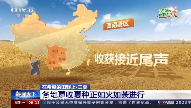 一組數字看中國豐收“速度” 各地搶收進度如何