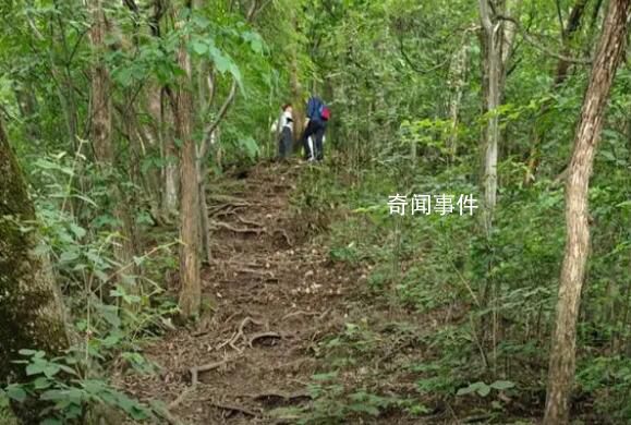 驢友爬山遭雷擊:直挺倒下全身麻木