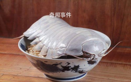 臺灣推出大王具足蟲拉面 大王具足蟲可以吃嗎