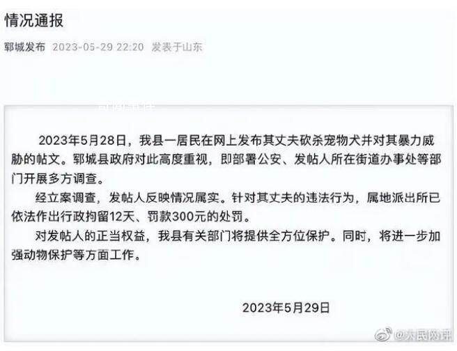人民網評男子殺狗嚇妻 對家暴應果斷亮劍